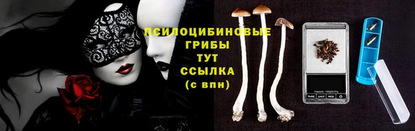 МДПВ Каменск-Шахтинский