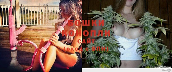 ГАЛЛЮЦИНОГЕННЫЕ ГРИБЫ Каменка