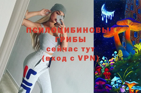 jwh Каменногорск