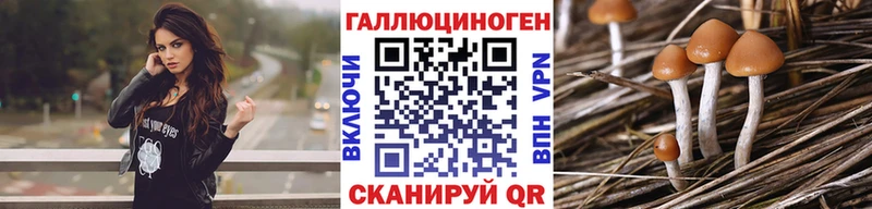 Купить закладки  Сунжа  Псилоцибиновые грибы мухоморы 
