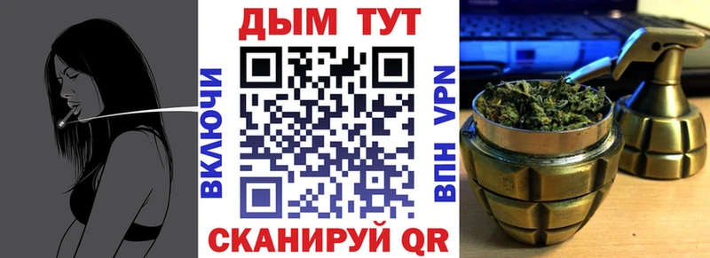 Купить  Сунжа  Бошки Шишки семена 